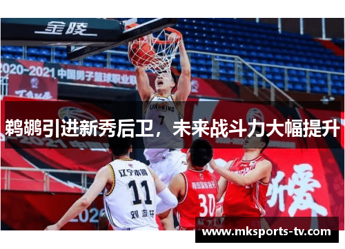 鹈鹕引进新秀后卫，未来战斗力大幅提升
